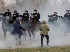 [VIDEO] Atestacja konia służbowego: gwarancja najwyższych standardów wyszkolenia w Komendzie Stołecznej Policji