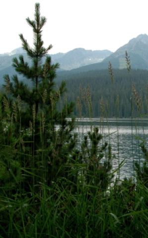 Słowackie Tatry mogą utracić status parku narodowego