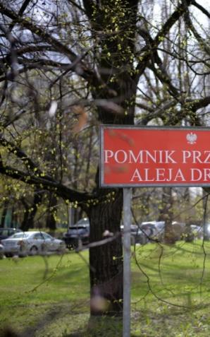 Warszawa: Aleja tysiąca lip