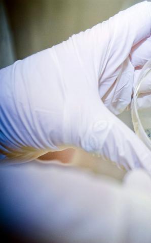 Powstaje coraz więcej biotechnologicznych start-upów. Polska ma szanse stać się jednym z liderów w branży