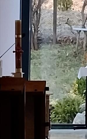 Słowo na 18 kwietnia, drugi dzień Świąt Wielkanocnych